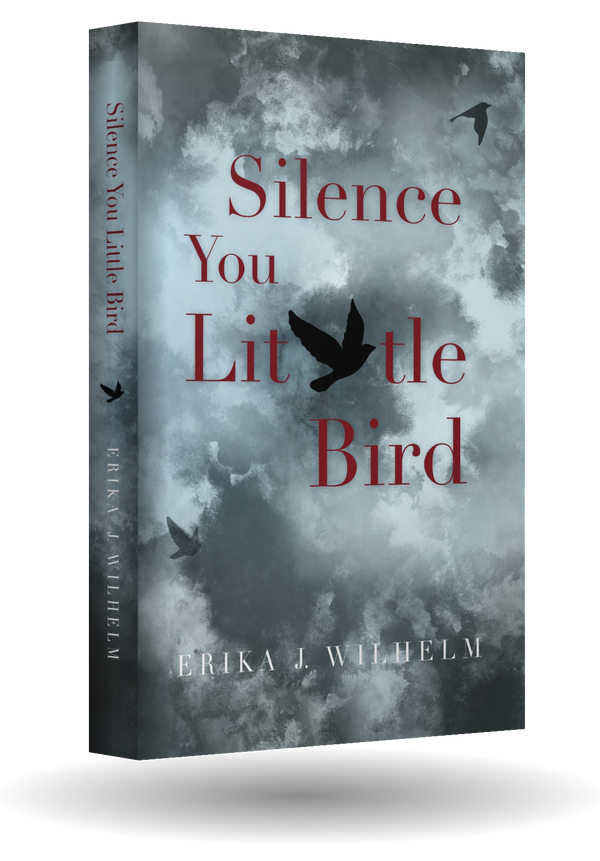 Silence You Little Bird book cover — dark storm clouds with a black bird